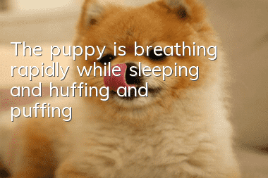 The puppy is breathing rapidly while sleeping and huffing and puffing