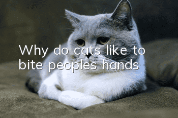 Why do cats like to bite people’s hands?