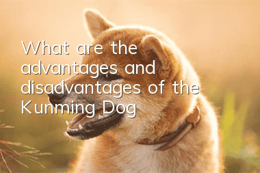 What are the advantages and disadvantages of the Kunming Dog?