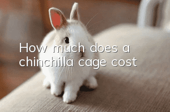 How much does a chinchilla cage cost?