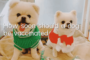 How soon should a dog be vaccinated?