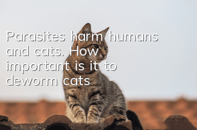 Parasites harm humans and cats. How important is it to deworm cats?