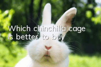 Which chinchilla cage is better to buy?