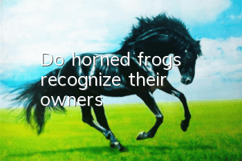 Do horned frogs recognize their owners?