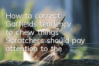 How to correct Garfield’s tendency to chew things? Scratchers should pay attention to these issues!