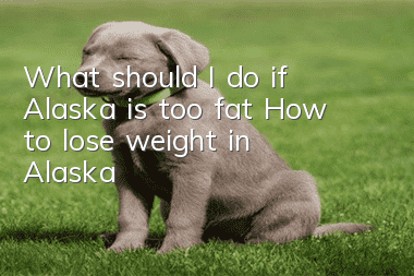 What should I do if Alaska is too fat? How to lose weight in Alaska?