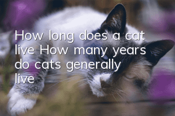 How long does a cat live? How many years do cats generally live?