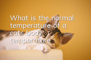 What is the normal temperature of a cat’s body temperature?