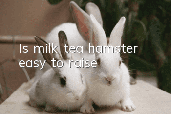 Is milk tea hamster easy to raise?