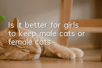 Is it better for girls to keep male cats or female cats?