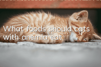 What foods should cats with anemia eat?