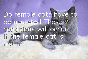 Do female cats have to be neutered? These conditions will occur if the female cat is not neutered!