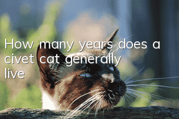 How many years does a civet cat generally live?