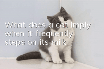 What does a cat imply when it frequently steps on its milk?