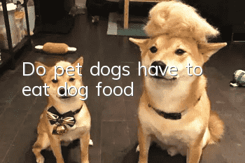 Do pet dogs have to eat dog food?