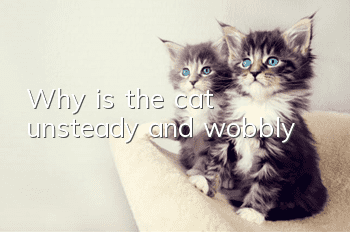 Why is the cat unsteady and wobbly?