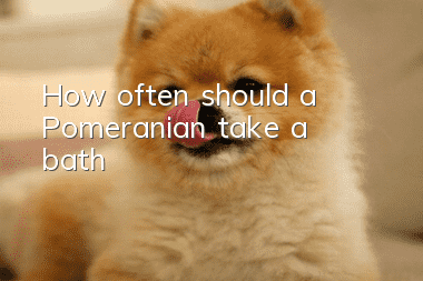 How often should a Pomeranian take a bath?