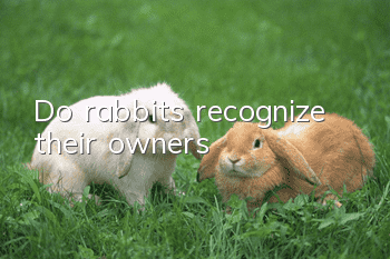 Do rabbits recognize their owners?