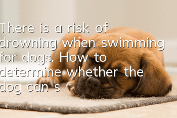 There is a risk of drowning when swimming for dogs. How to determine whether the dog can swim?