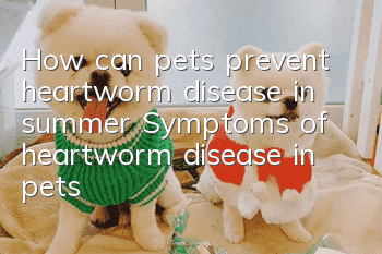 How can pets prevent heartworm disease in summer? Symptoms of heartworm disease in pets