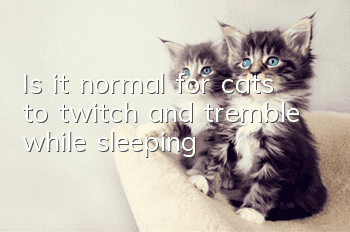 Is it normal for cats to twitch and tremble while sleeping?