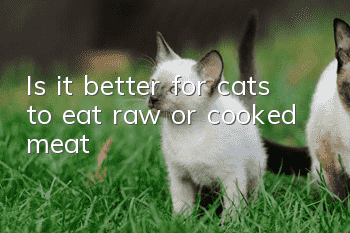 Is it better for cats to eat raw or cooked meat?