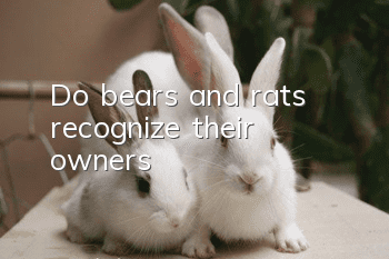 Do bears and rats recognize their owners?