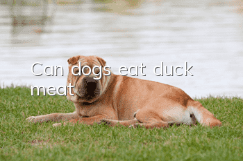 Can dogs eat duck meat?