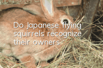 Do Japanese flying squirrels recognize their owners?