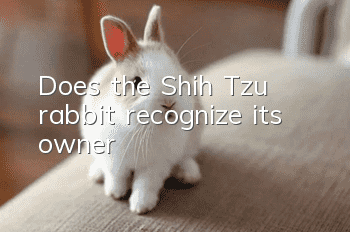 Does the Shih Tzu rabbit recognize its owner?