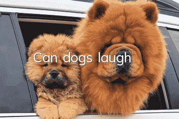 Can dogs laugh?