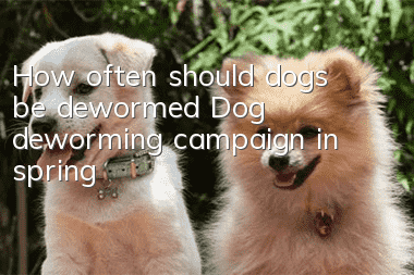 How often should dogs be dewormed? Dog deworming campaign in spring!