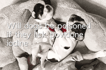 Will dogs be poisoned if they lick povidone iodine?