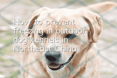 How to prevent freezing in outdoor dog kennels in Northeast China