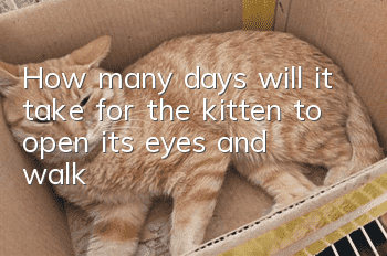 How many days will it take for the kitten to open its eyes and walk?