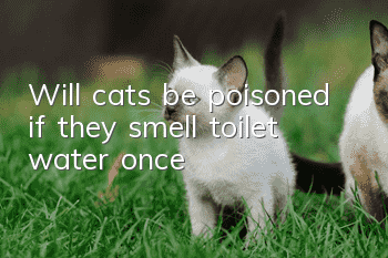 Will cats be poisoned if they smell toilet water once?