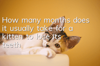 How many months does it usually take for a kitten to lose its teeth?