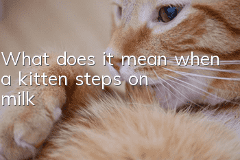 What does it mean when a kitten steps on milk?