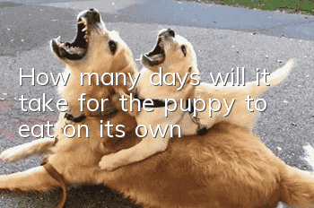 How many days will it take for the puppy to eat on its own?