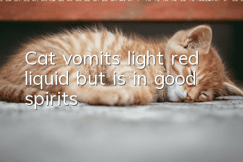 Cat vomits light red liquid but is in good spirits