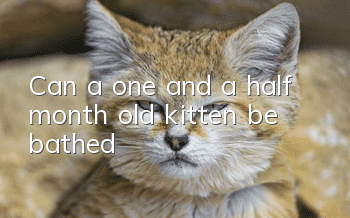 Can a one and a half month old kitten be bathed?