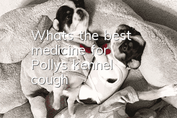 What's the best medicine for Polly's kennel cough?