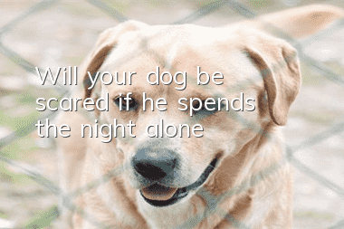 Will your dog be scared if he spends the night alone?