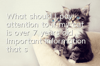 What should I pay attention to if my cat is over 7 years old? Important information that scrappers must know!