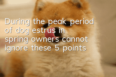 During the peak period of dog estrus in spring, owners cannot ignore these 5 points!