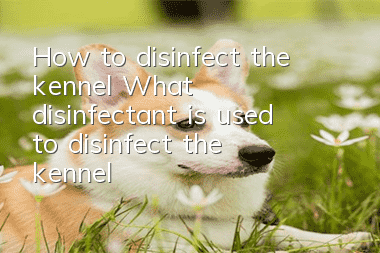 How to disinfect the kennel? What disinfectant is used to disinfect the kennel?