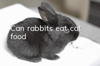 Can rabbits eat cat food?