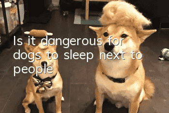 Is it dangerous for dogs to sleep next to people?