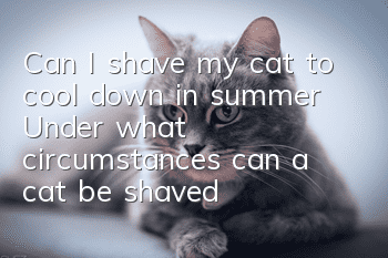 Can I shave my cat to cool down in summer? Under what circumstances can a cat be shaved?