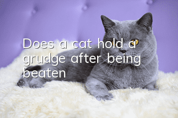 Does a cat hold a grudge after being beaten?